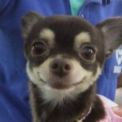 User thumbnail image