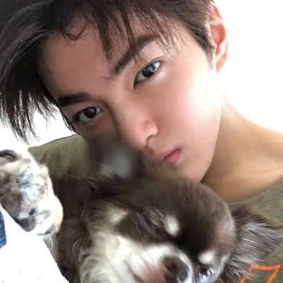안건호
