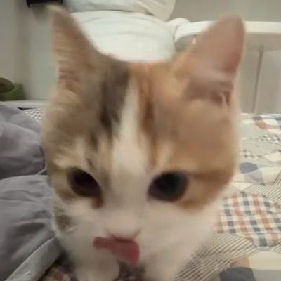 Curious thumbnail