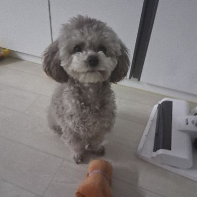 현자윤