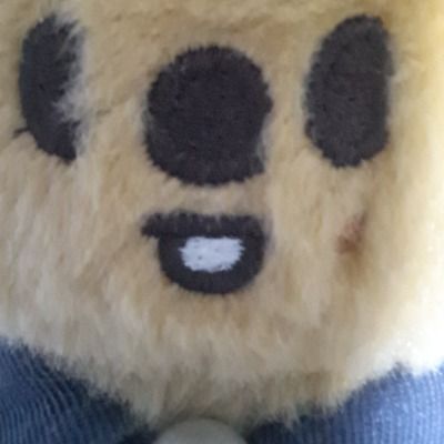 User thumbnail image