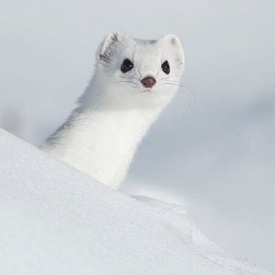 유달리