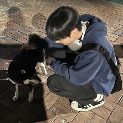 정태규