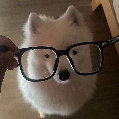 User thumbnail image