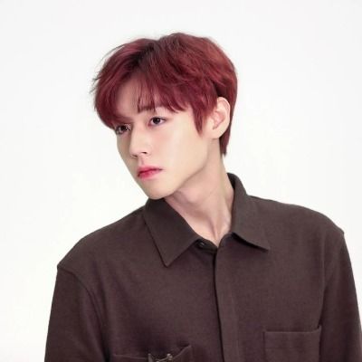 오노추 모음집