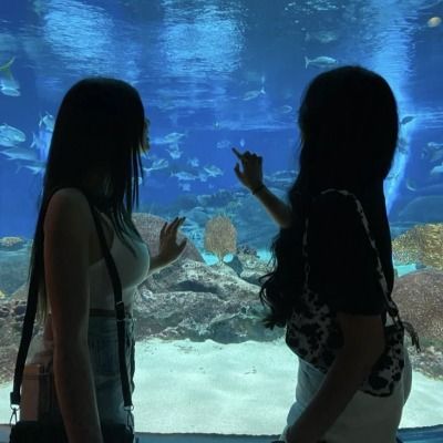User thumbnail image