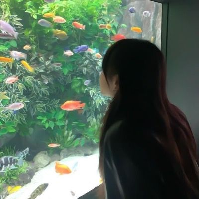 유세린