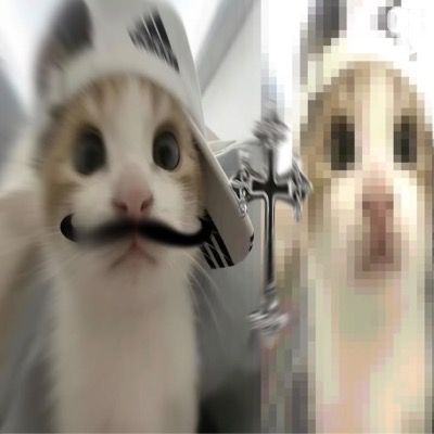User thumbnail image