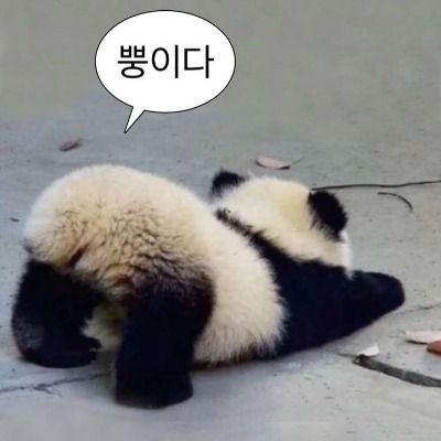 김벼리