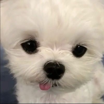 은