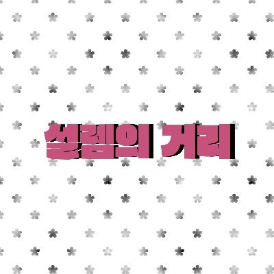 설렘의 거리 연프