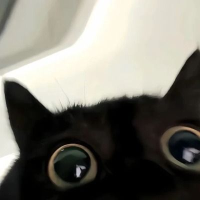 User thumbnail image
