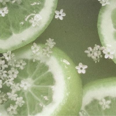User thumbnail image