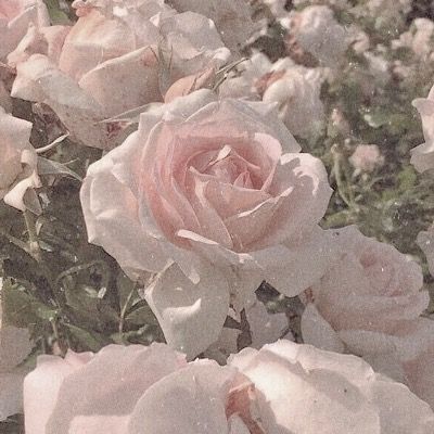 ❀