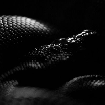 User thumbnail image