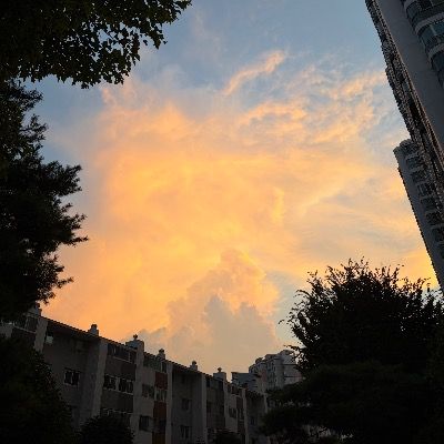 샐리테일의 큐리어스