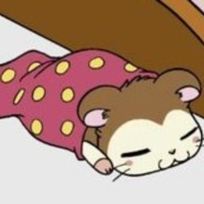 방가 방가 햄토리 마을 천재 권찬
