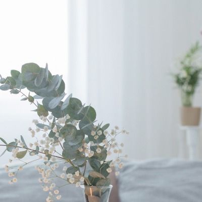 User thumbnail image
