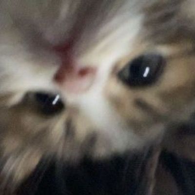 뽀얁
