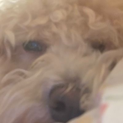 User thumbnail image