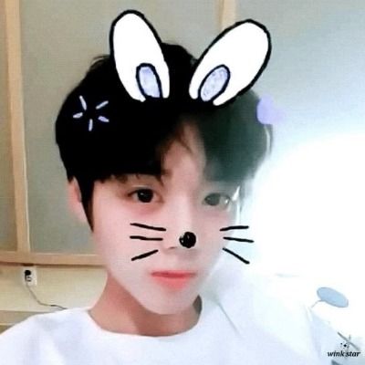 설배이