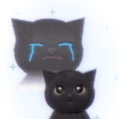 User thumbnail image