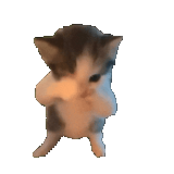 User thumbnail image