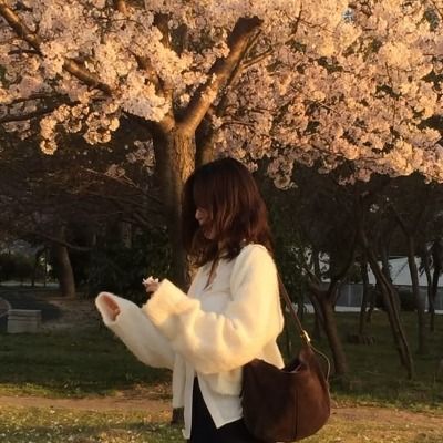 주문완