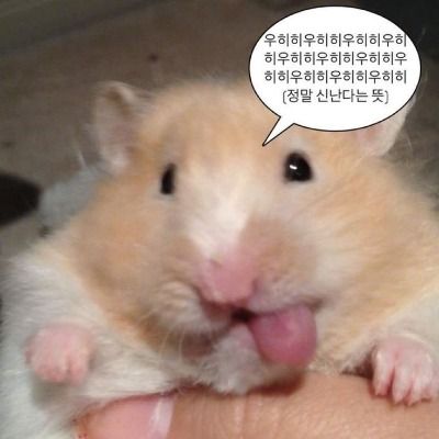 Curious thumbnail