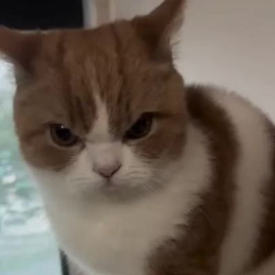 Curious thumbnail