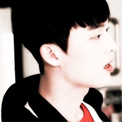 리트리버