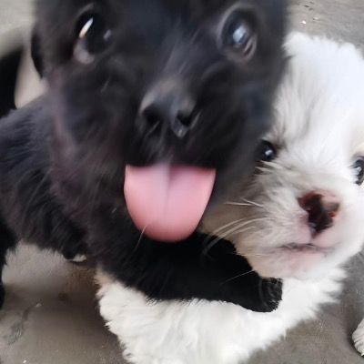 User thumbnail image