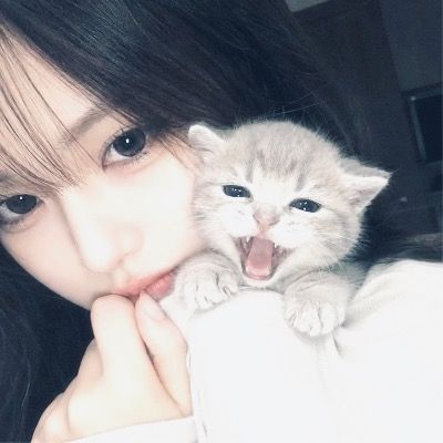 백 잎