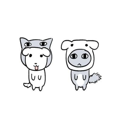 징하츄&하츄콩의 공동큐리어스🙊