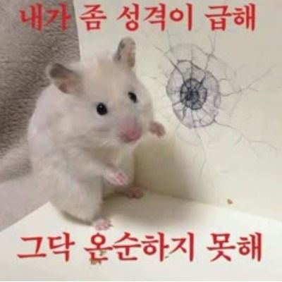 부모즈