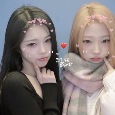 챼유앉&앙딸기 공큐