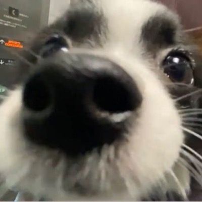 Curious thumbnail