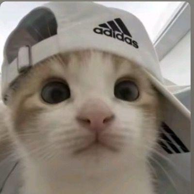 댕윰