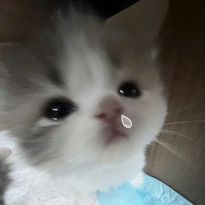 예서