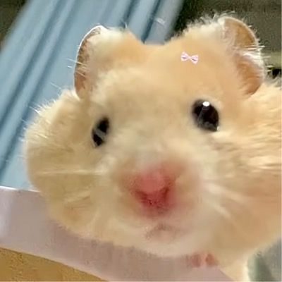 User thumbnail image