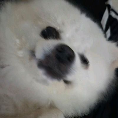 Curious thumbnail