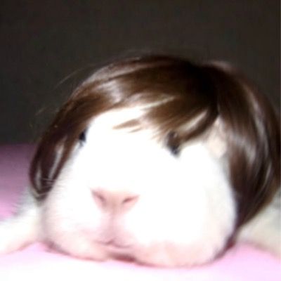 떠빈