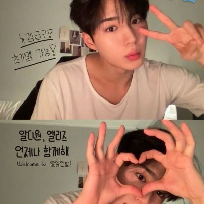 알앨언함 공식 큐리