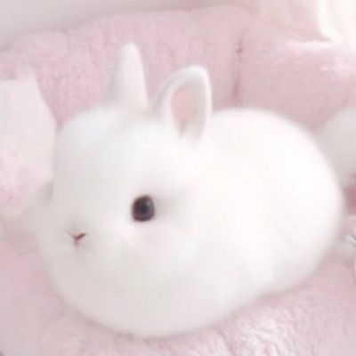 User thumbnail image
