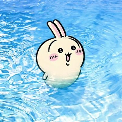 댈핱 후기