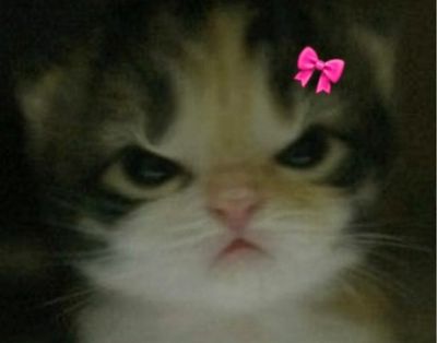 유얁