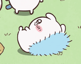 모몽가팸