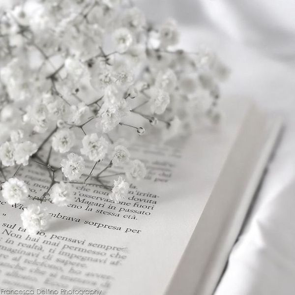 White Aesthetics