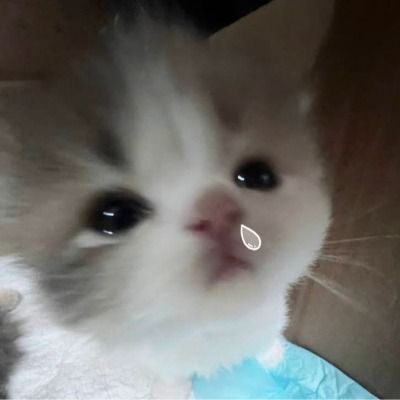 User thumbnail image