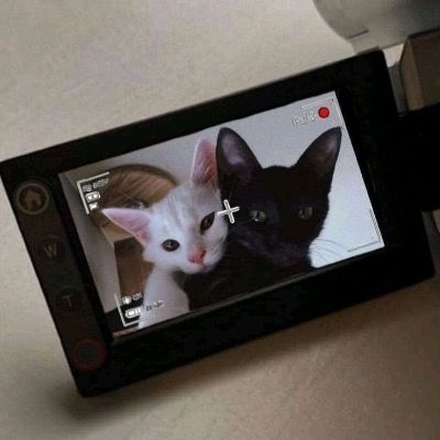 Curious thumbnail